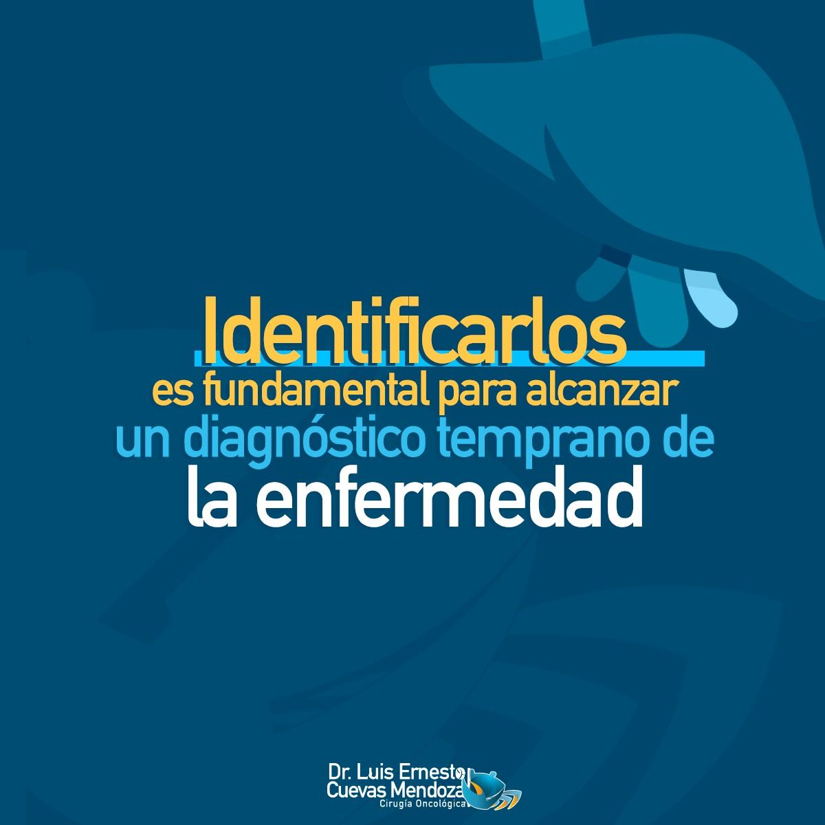 Luis Ernesto Cuevas Mendoza-54