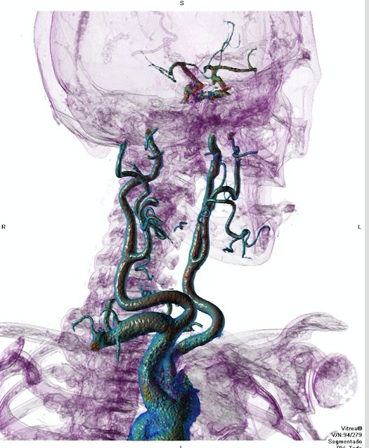 Erika Berenice Ramírez Pérez-8