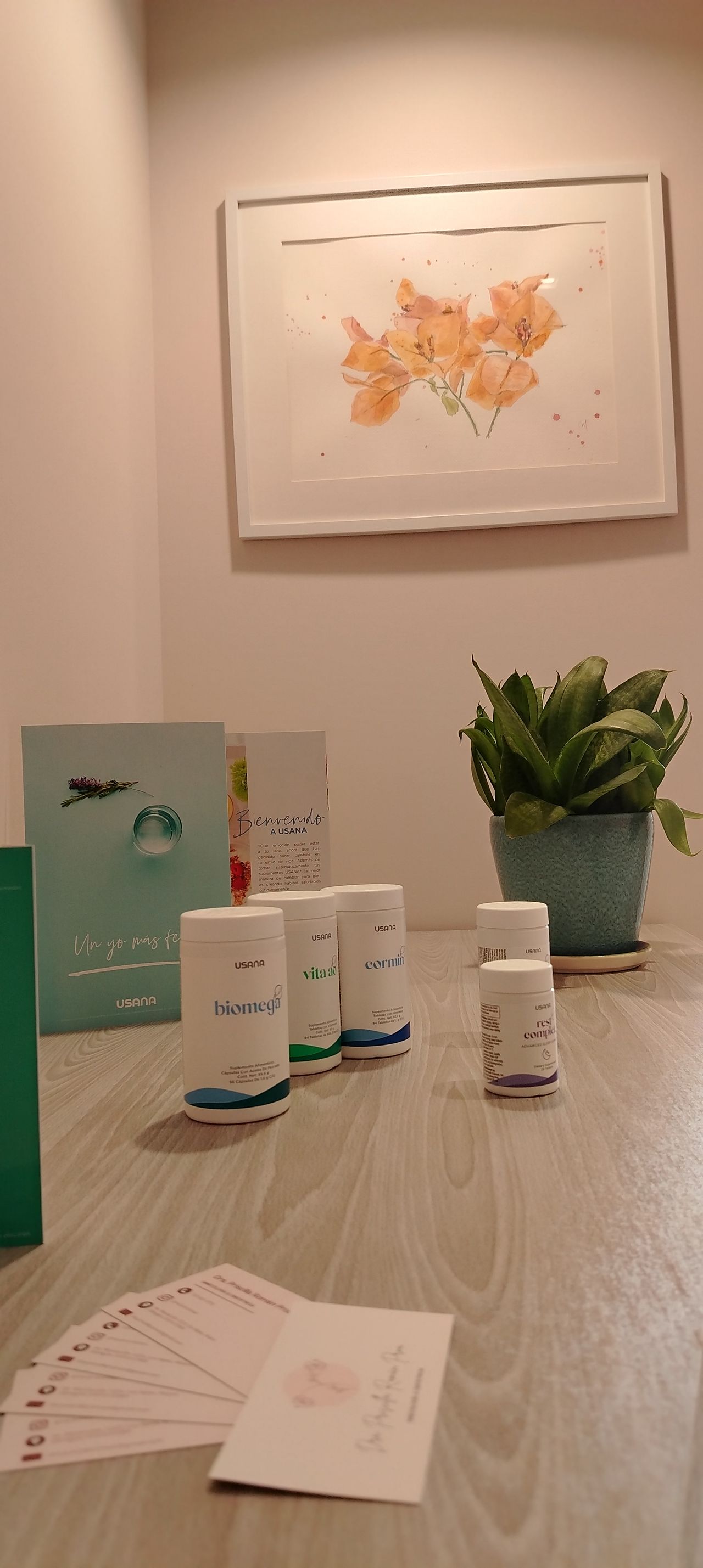 Priscilla Román Proa-3