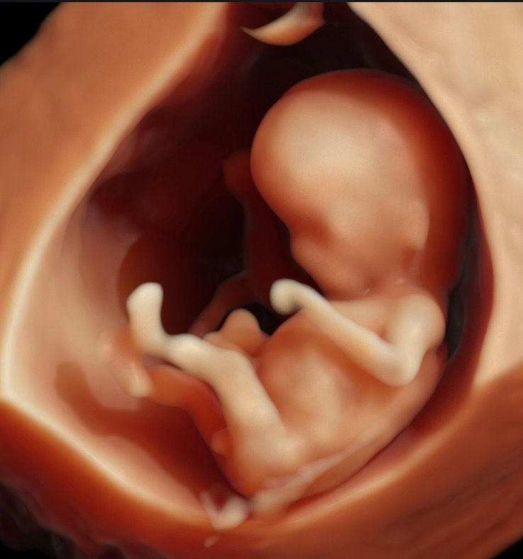 Sarai Esquivel Reyes-0