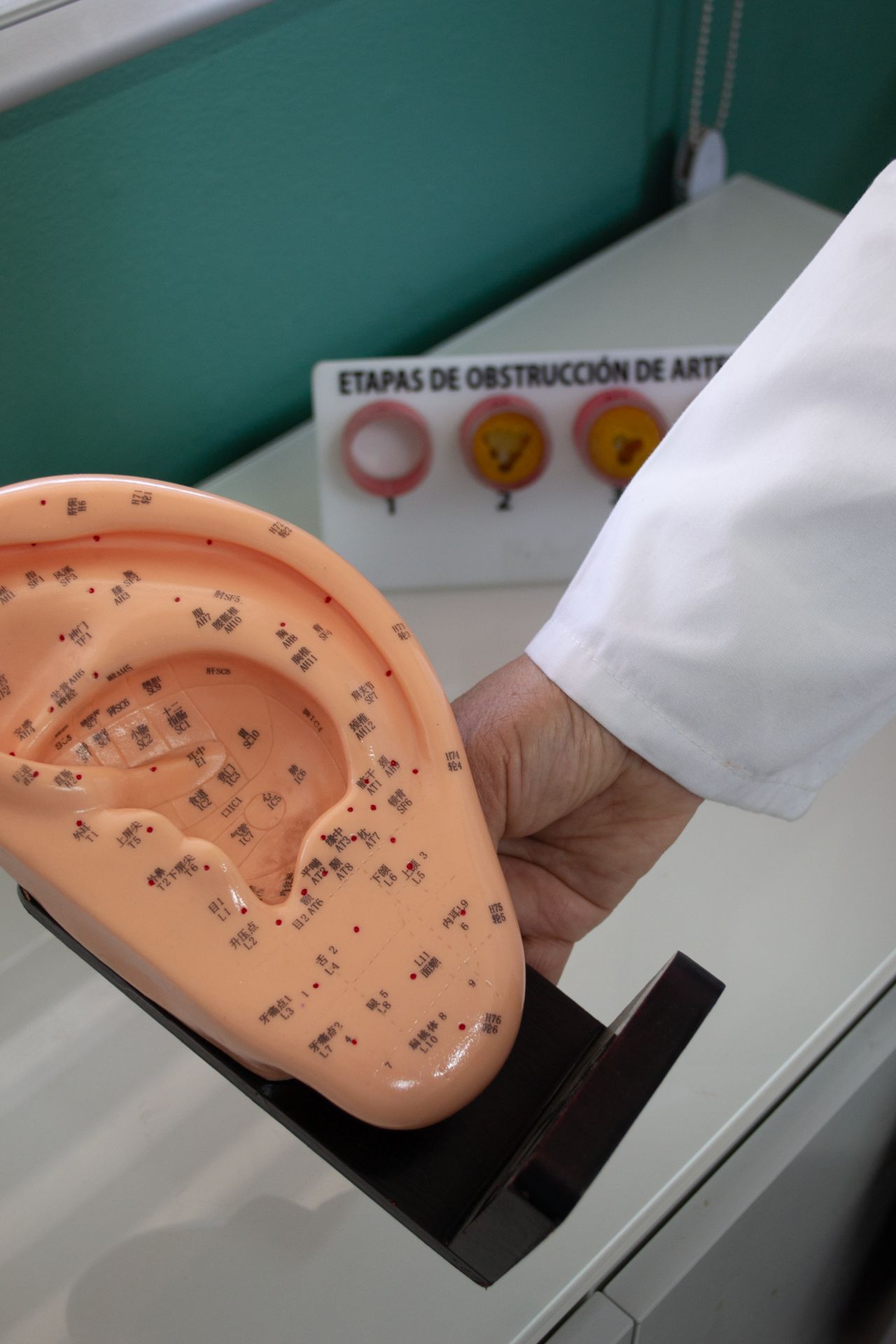 Barbara Ramirez Felix-4