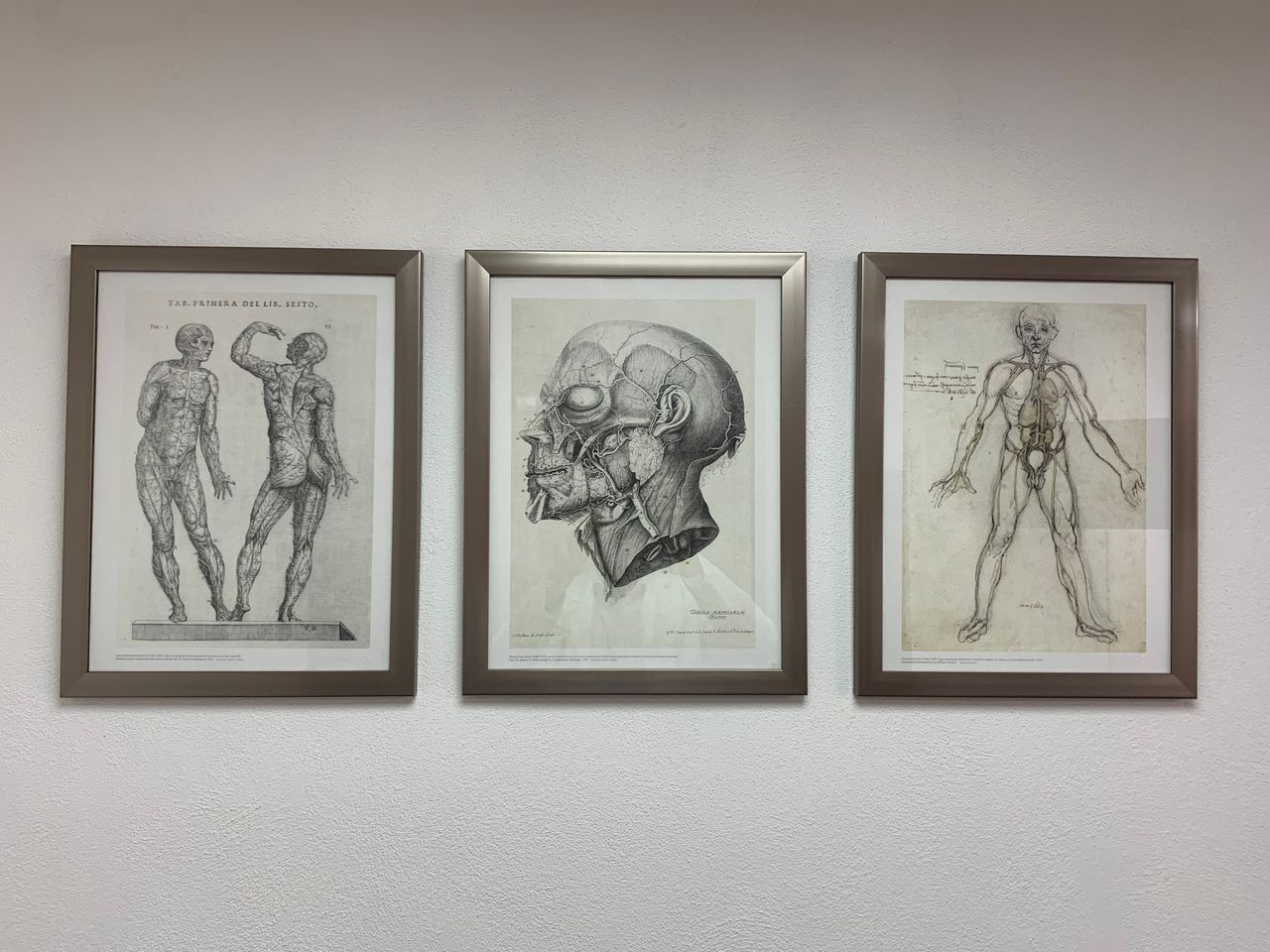 Oscar Daniel Bazan Muñoz-6