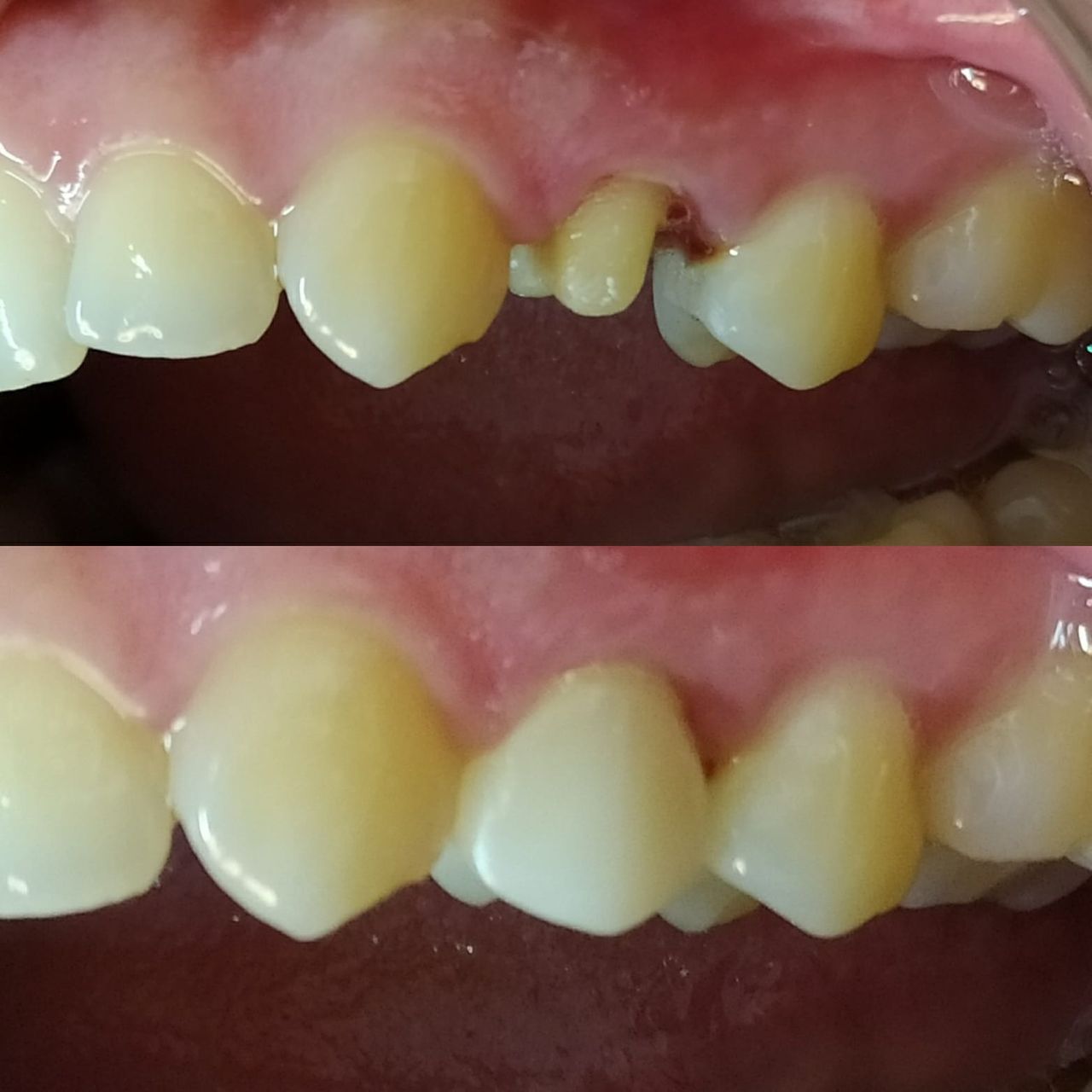 Diana Isabel González Bárcenas-4