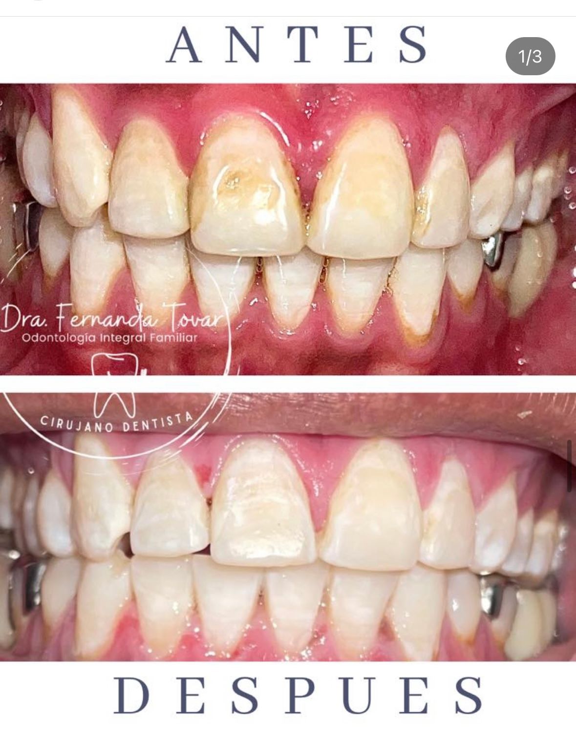 Fernanda Tovar Navarro-6