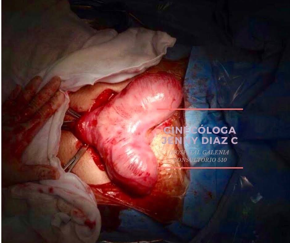 Jenny Díaz Calvillo-6