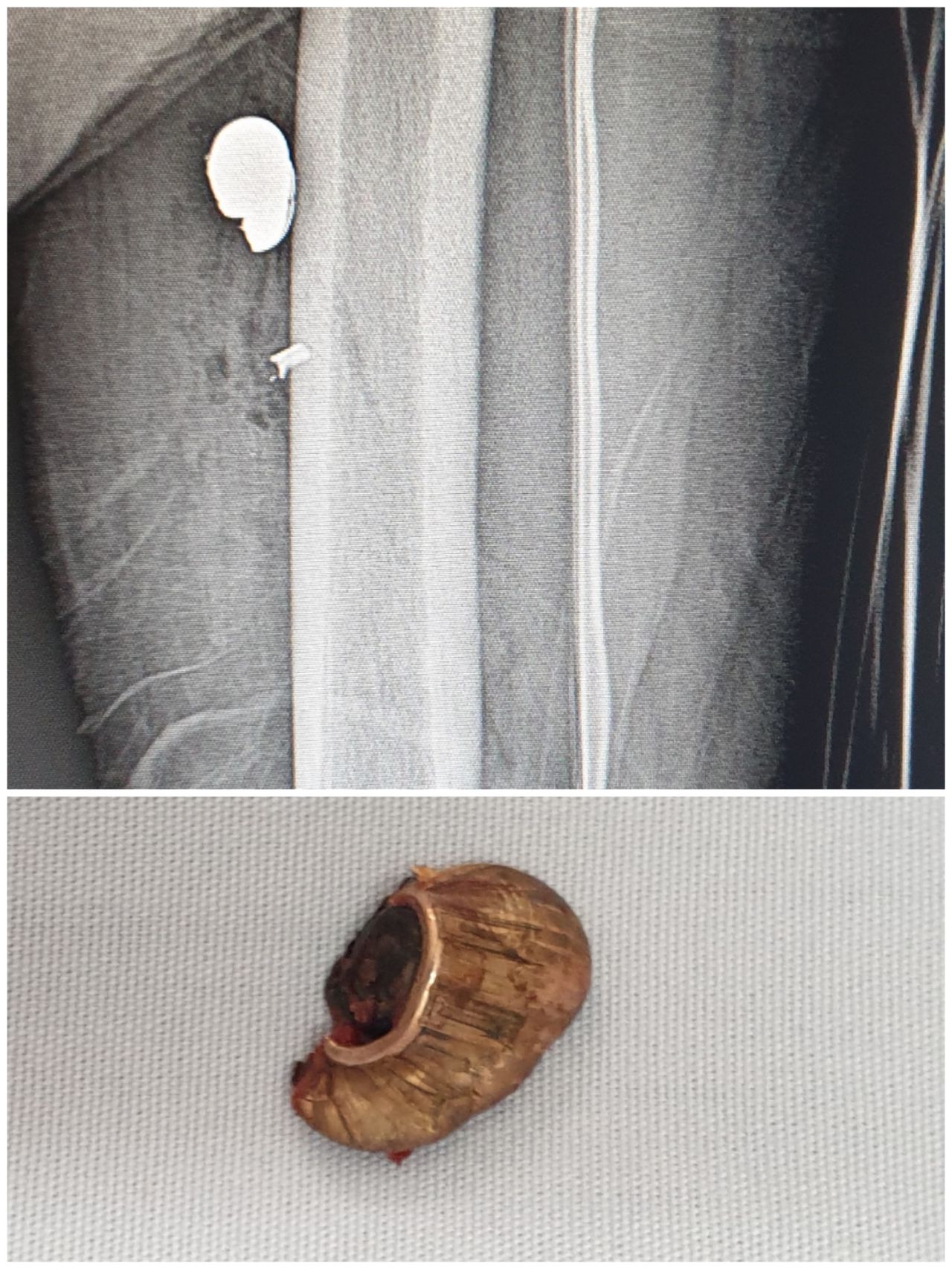 Gabriel De Leon Ochoa Lara-4