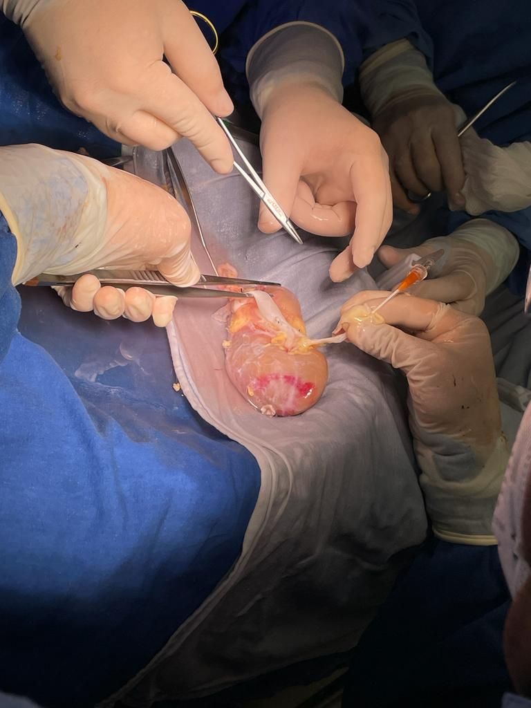 José Miguel Huerta Cervantes-14