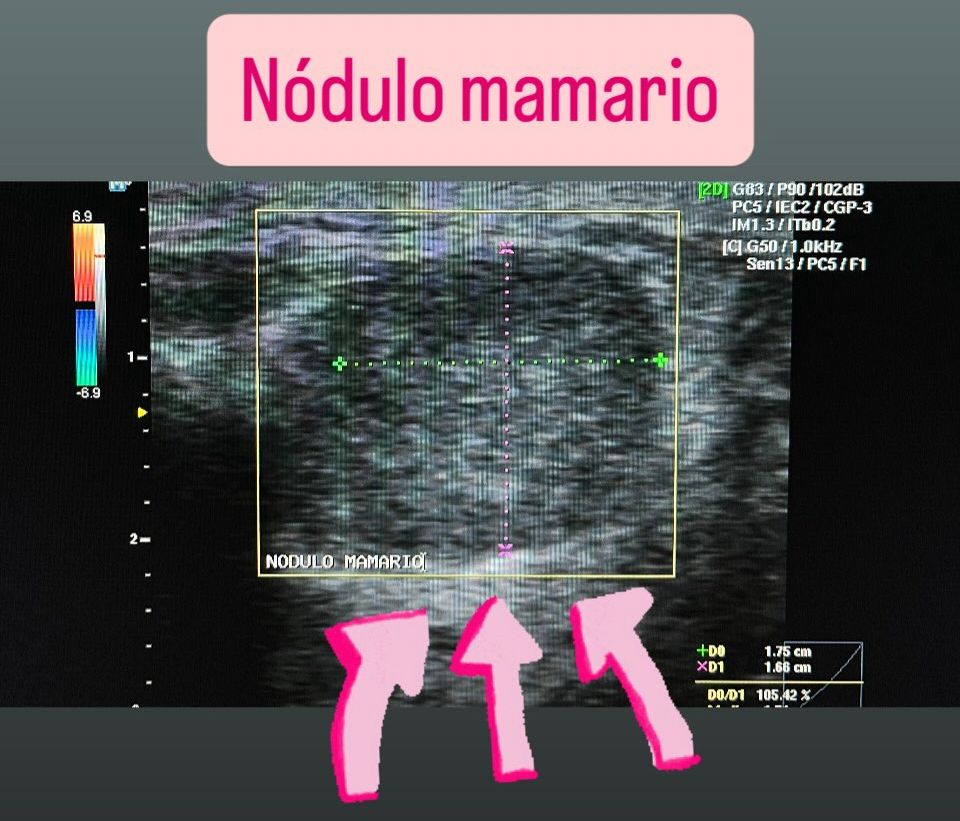 Ana Itzel Gaona Guevara-8