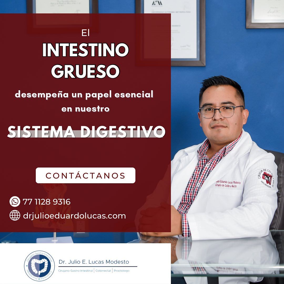 Julio Eduardo Lucas Modesto-5