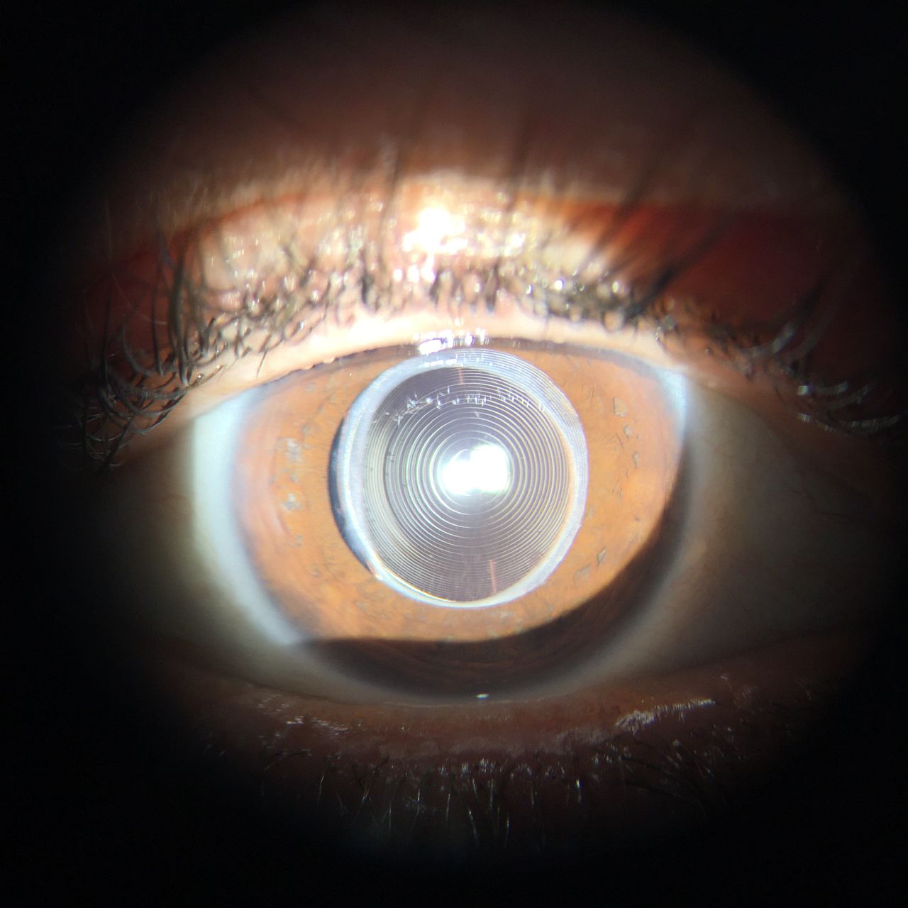 Miguel Angel Ibañez Hernandez-25