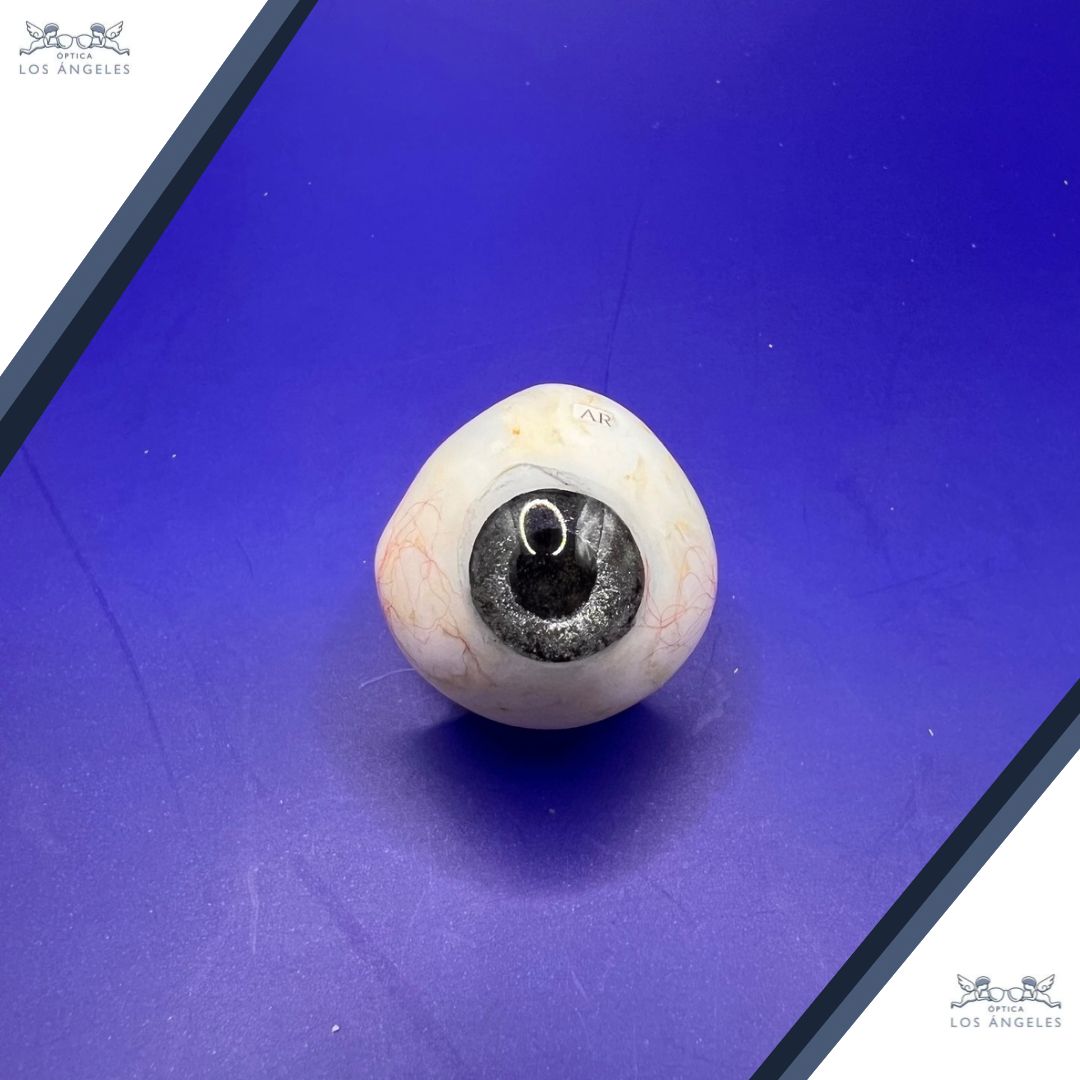 Alfonso Rodríguez Fortanell-2