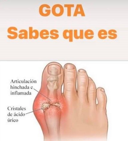 Oscar Gallegos Hernández-8