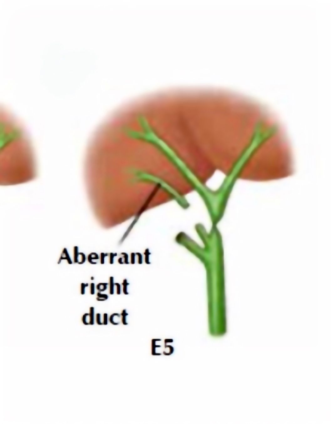 Mateo Ponciano Guerrero-27