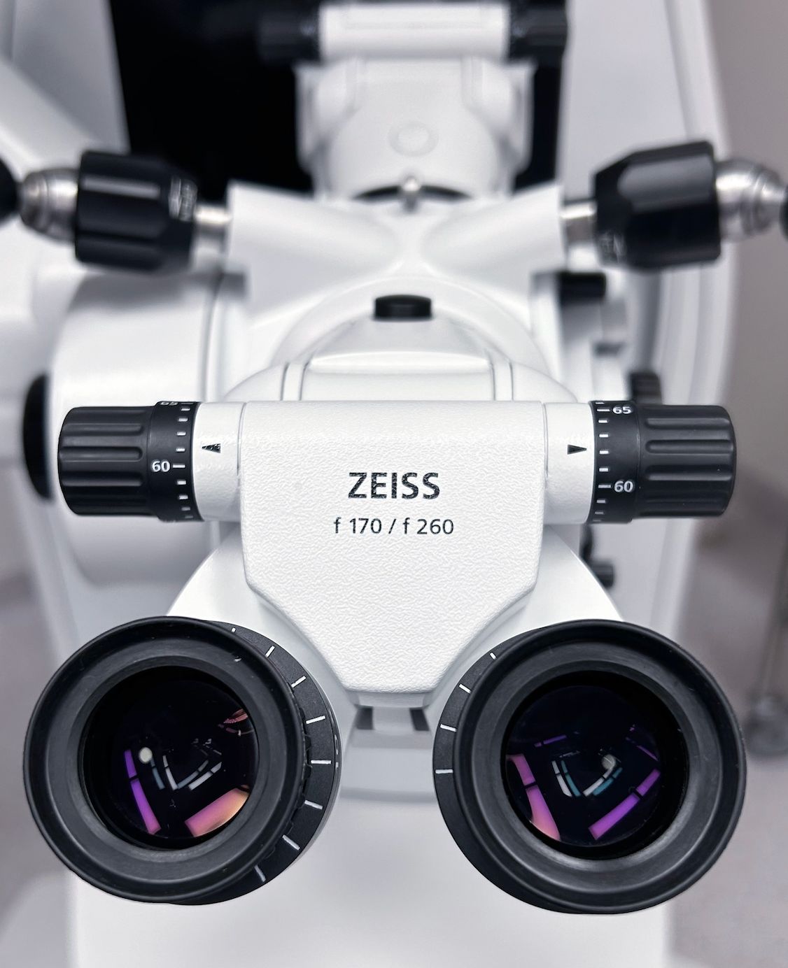 Carlos Damián Palafox Vidal-6