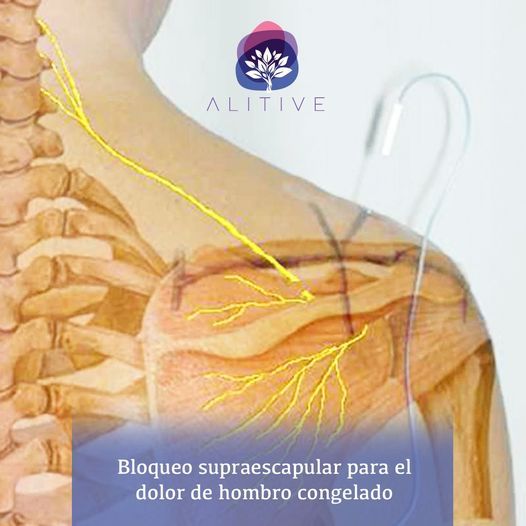 Nina Contreras Martínez-5