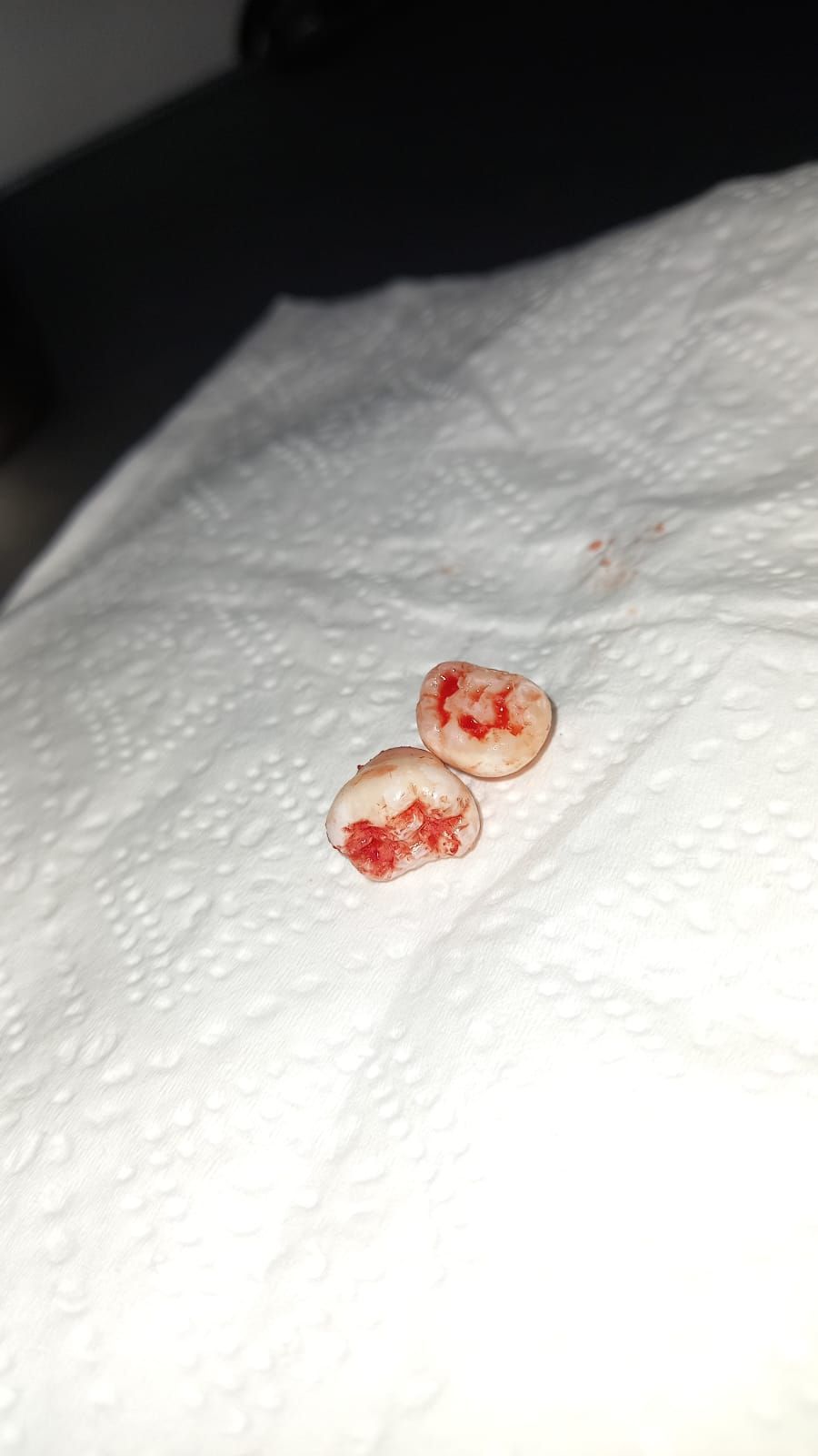 Emma Selenia Hernández Castillo-7