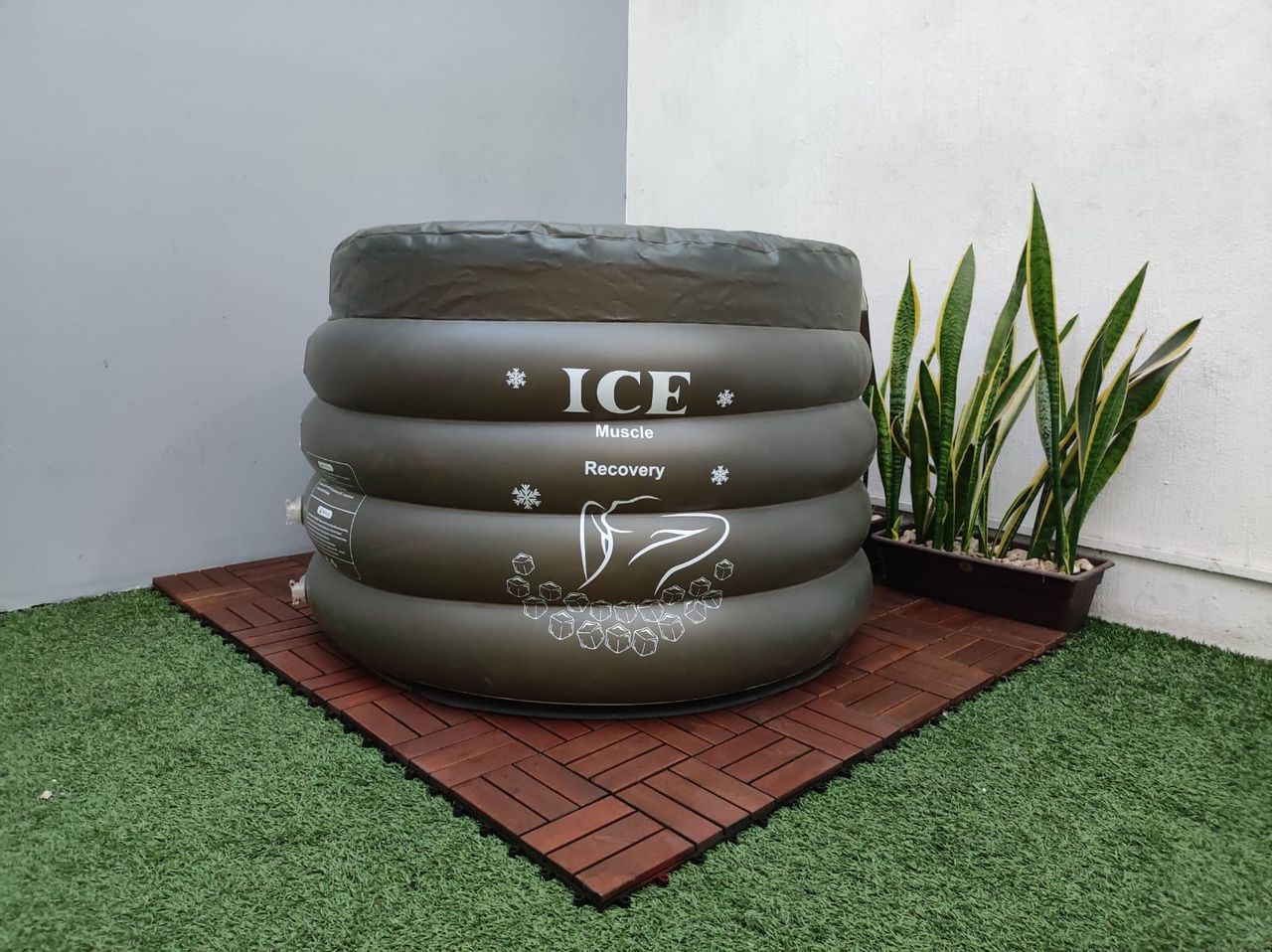 Daniel Baez Quezada-9