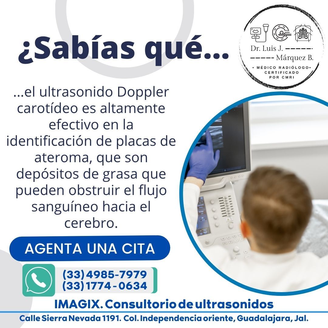 Luis Jesús Márquez Bejarano-13