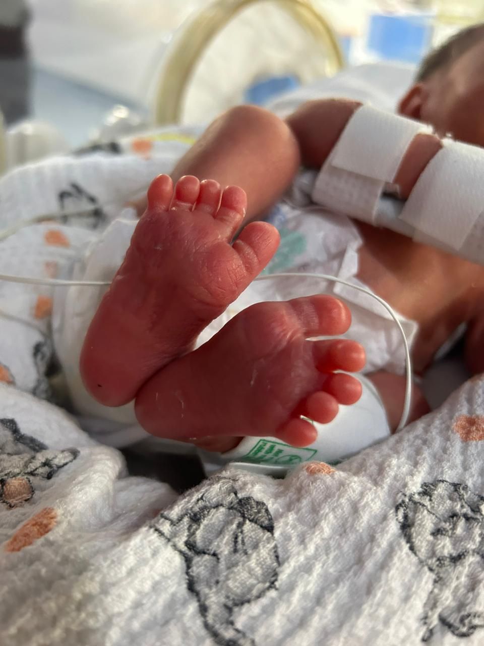 Andrea Hernández Salazar-10