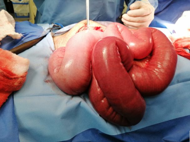 Daniel Rodriguez Hernandez-3