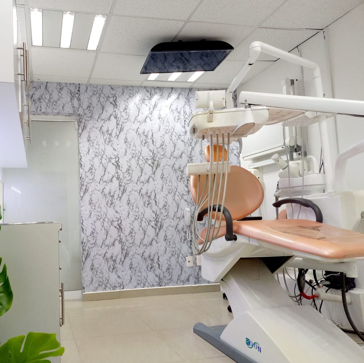 Suemi V. Legorreta García-0