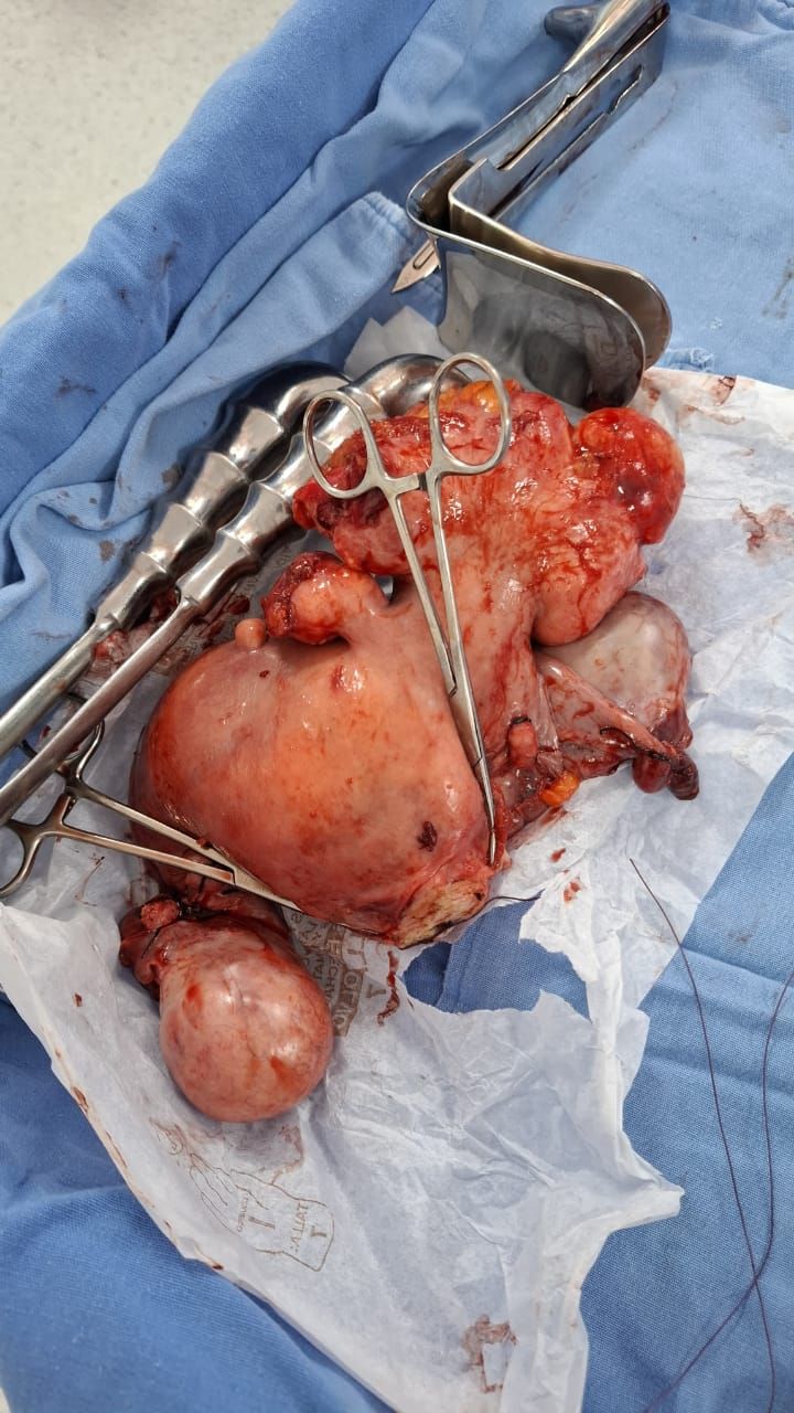 Abel Enríquez Vázquez-3