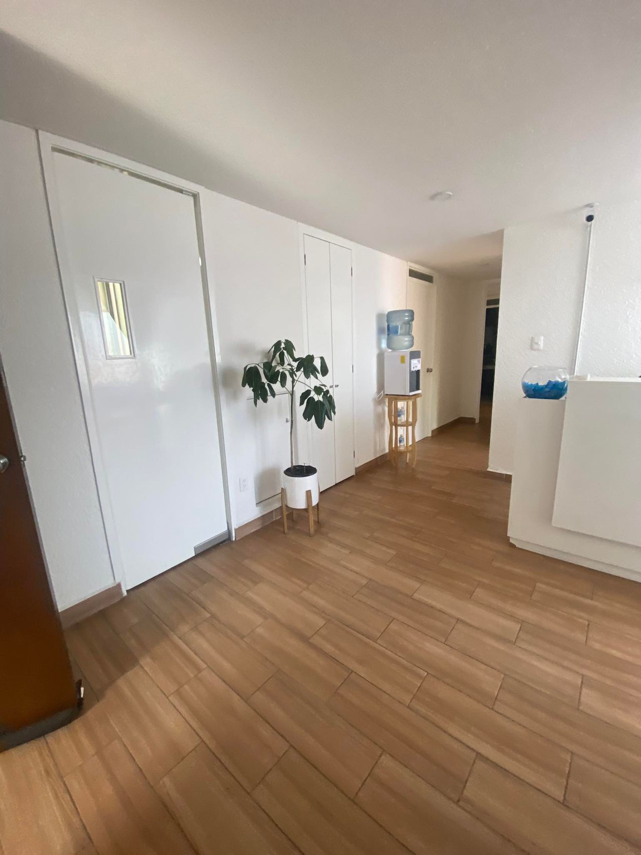 Yunuen Alanís Villanueva-8