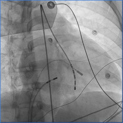 Mario Alberto Ornelas Casillas-5