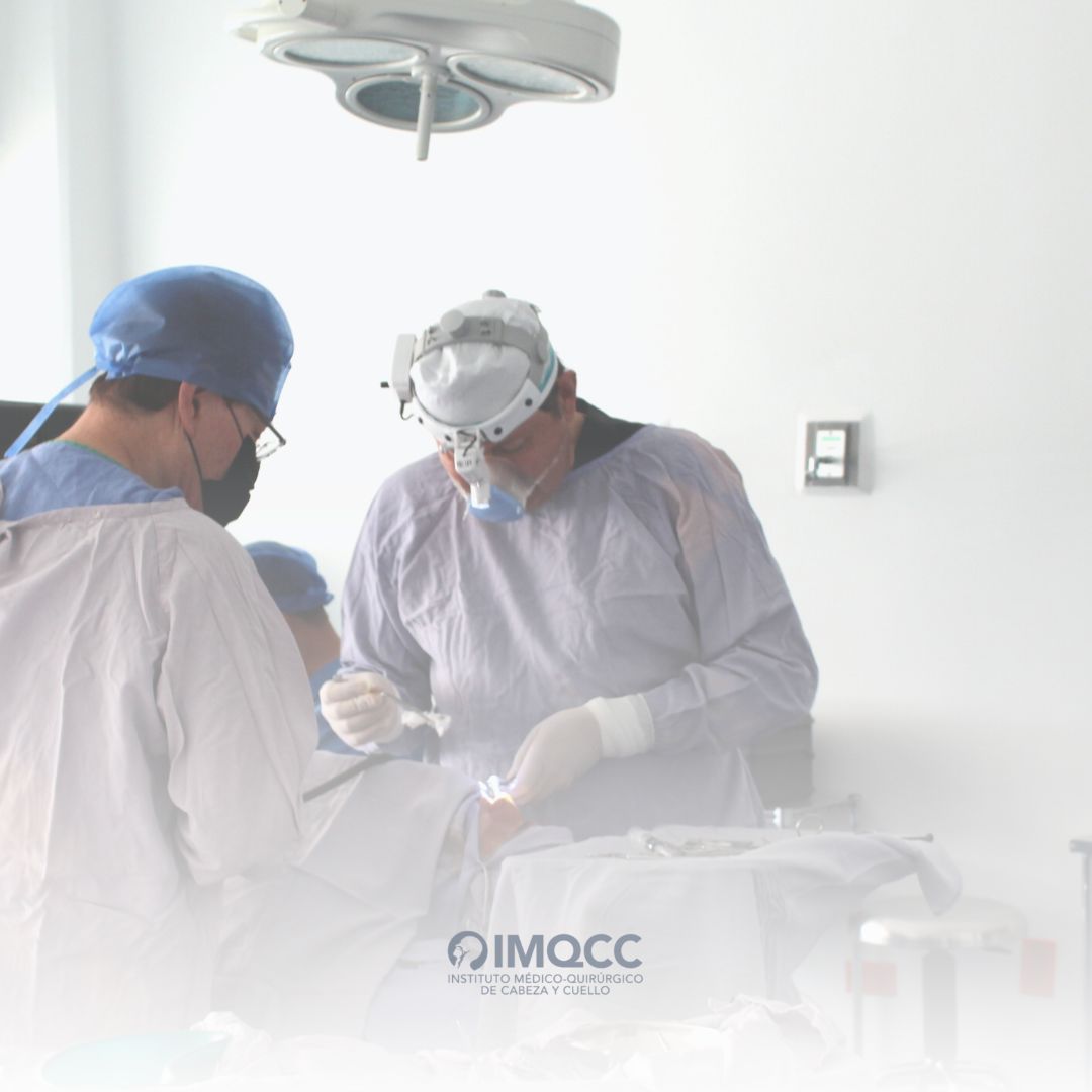 Guillermo Navarro Santos-0