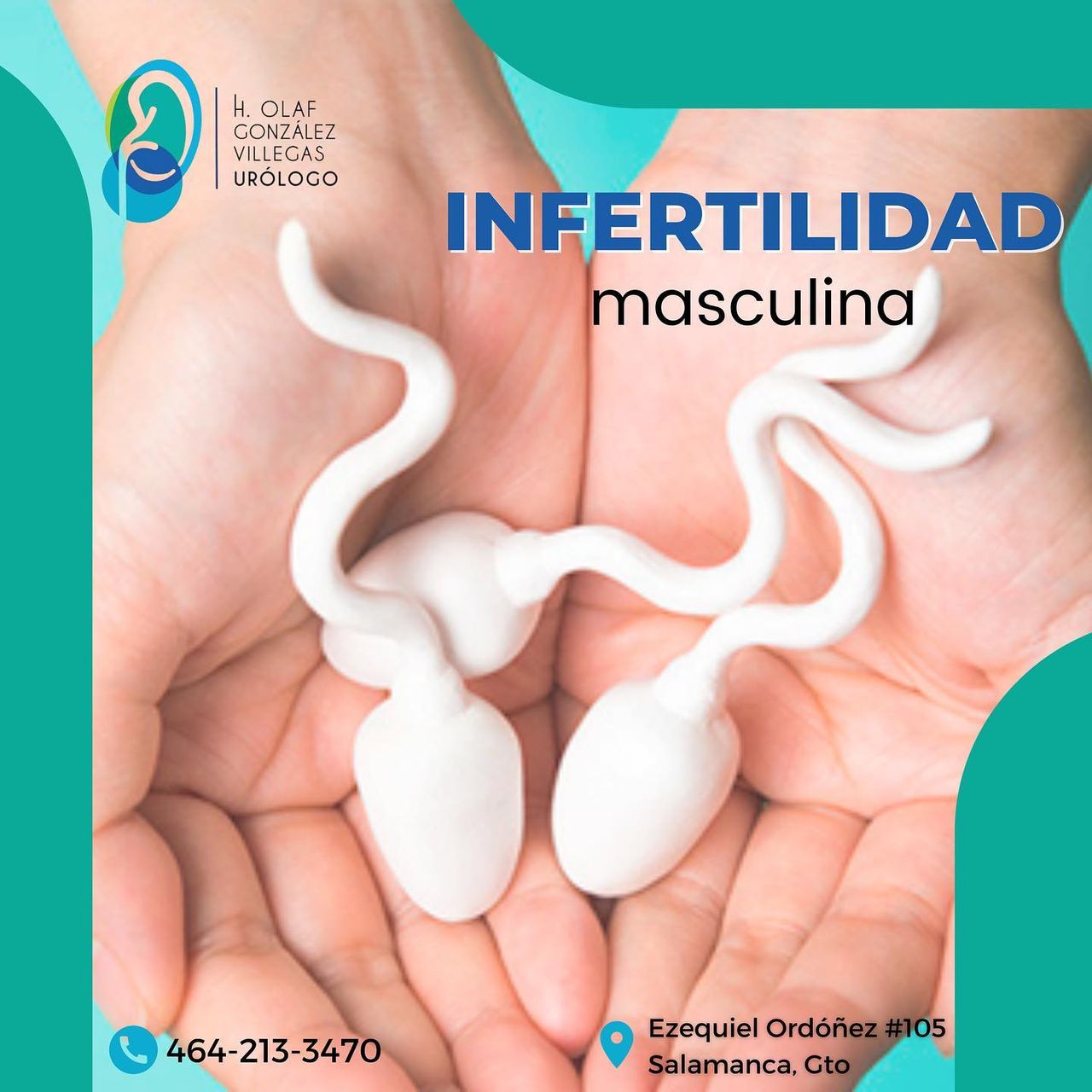 H.olaf Gonzalez Villegas-10