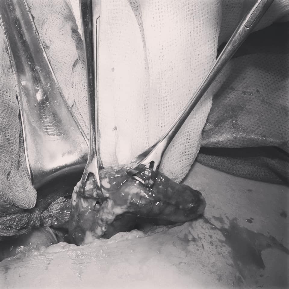 Iván Nájera Ayuso-6