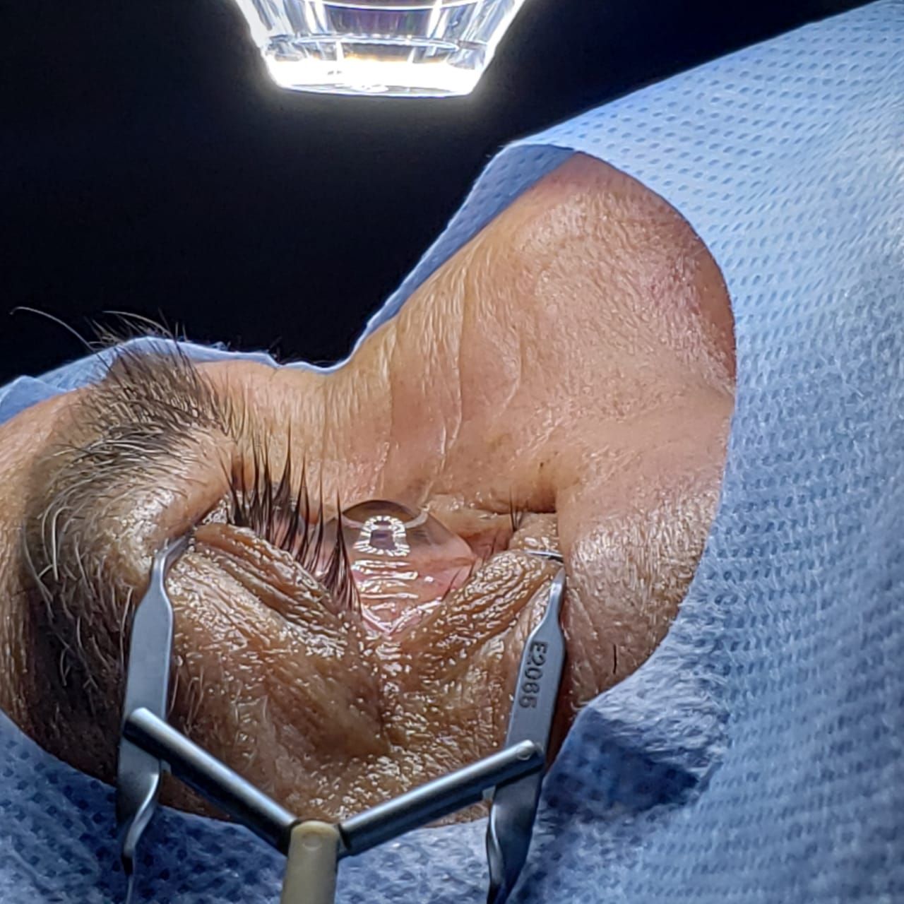 Mayra Margarita Aguilar Nájera-3