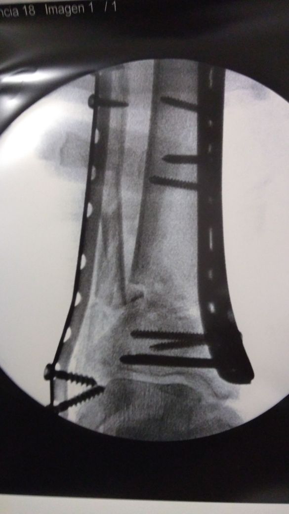 César Gerardo Nuncio Hernández-4