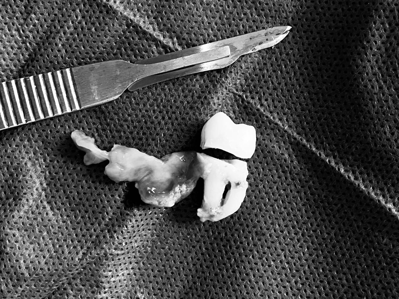 Luis Enrique Cruz Hernández-19