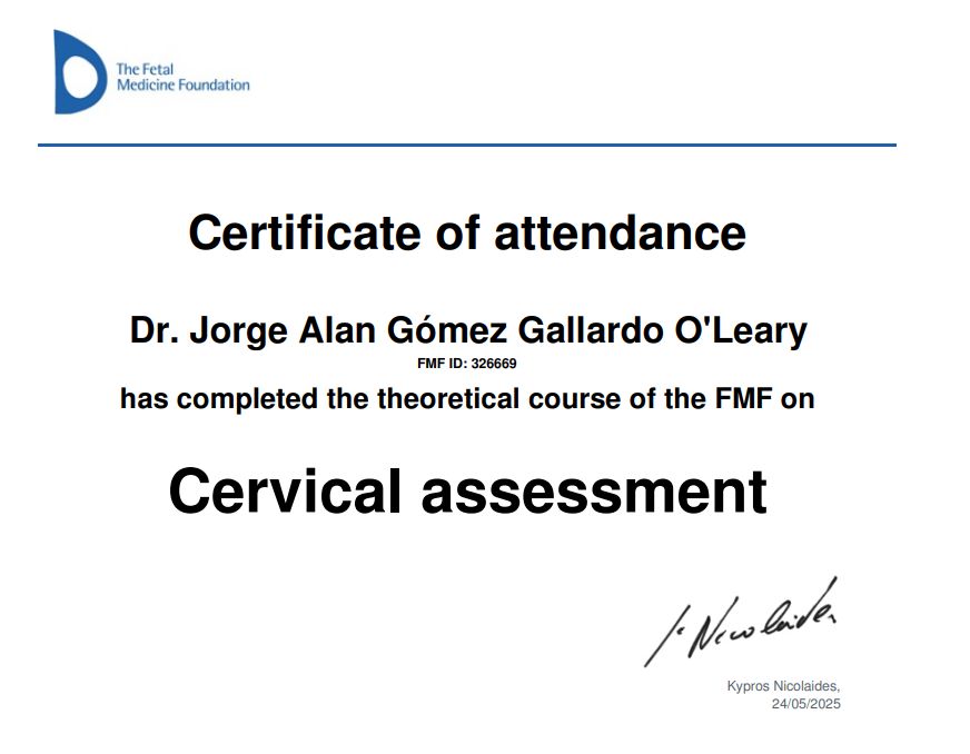 Jorge Alan Gómez Gallardo O'leary-3