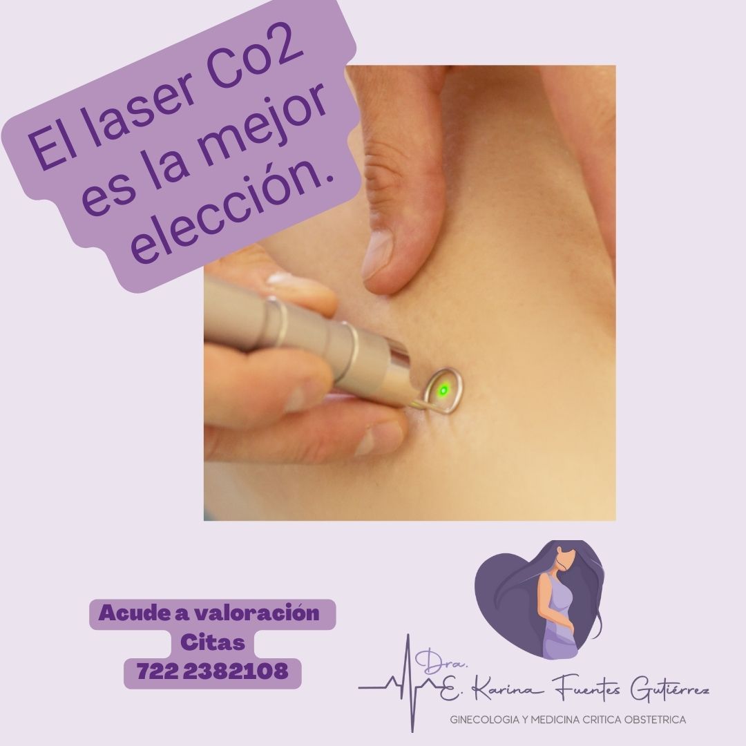 Erika Karina Fuentes Gutiérrez-4