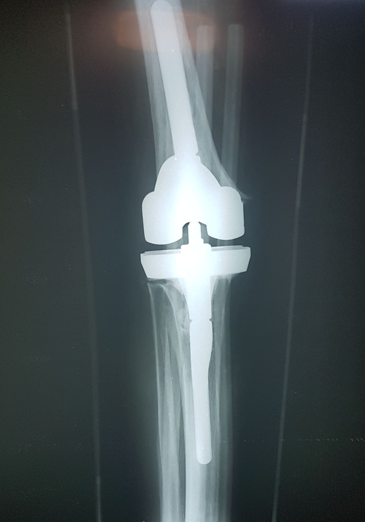 Ramon Garcia Acosta-9