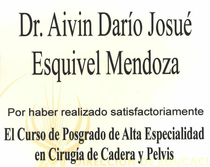 Aivin Darío Josué Esquivel Mendoza-4