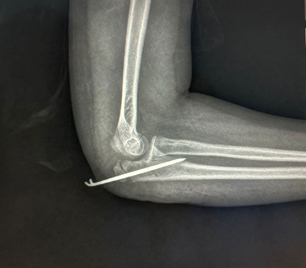 Cynthia Julieta Alvarez Rodríguez-7