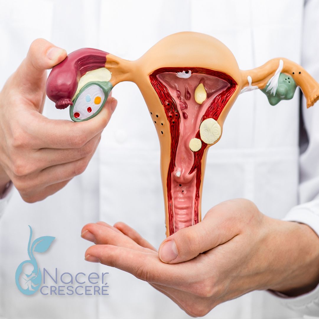 Rafael Alejandro Pérez Meza-3