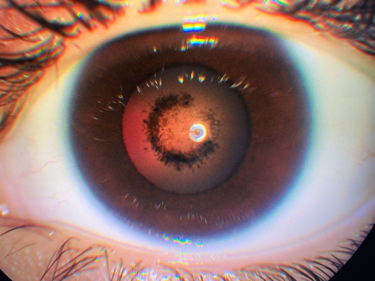 Javier Suárez Arguello-4