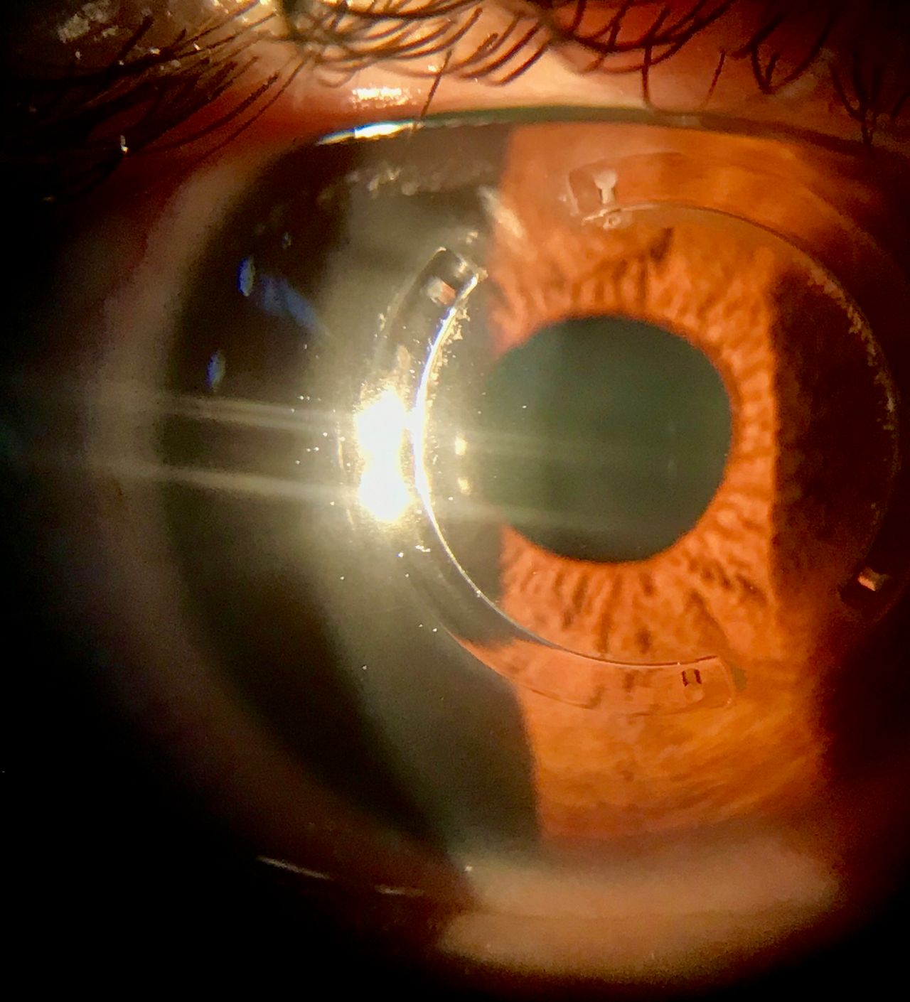 Jennifer Montoya Silva-16