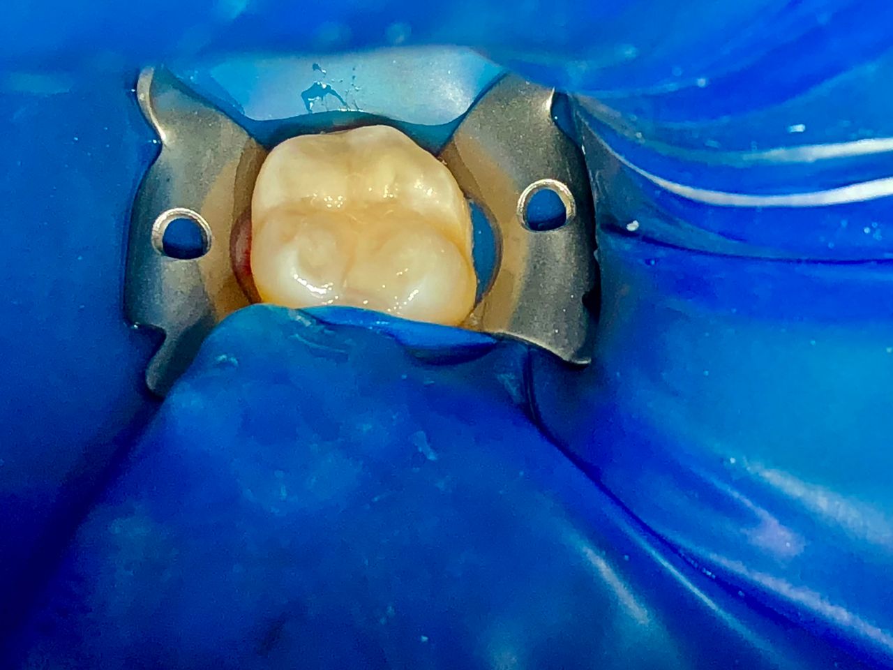 María Paula  Flores Novoa-34