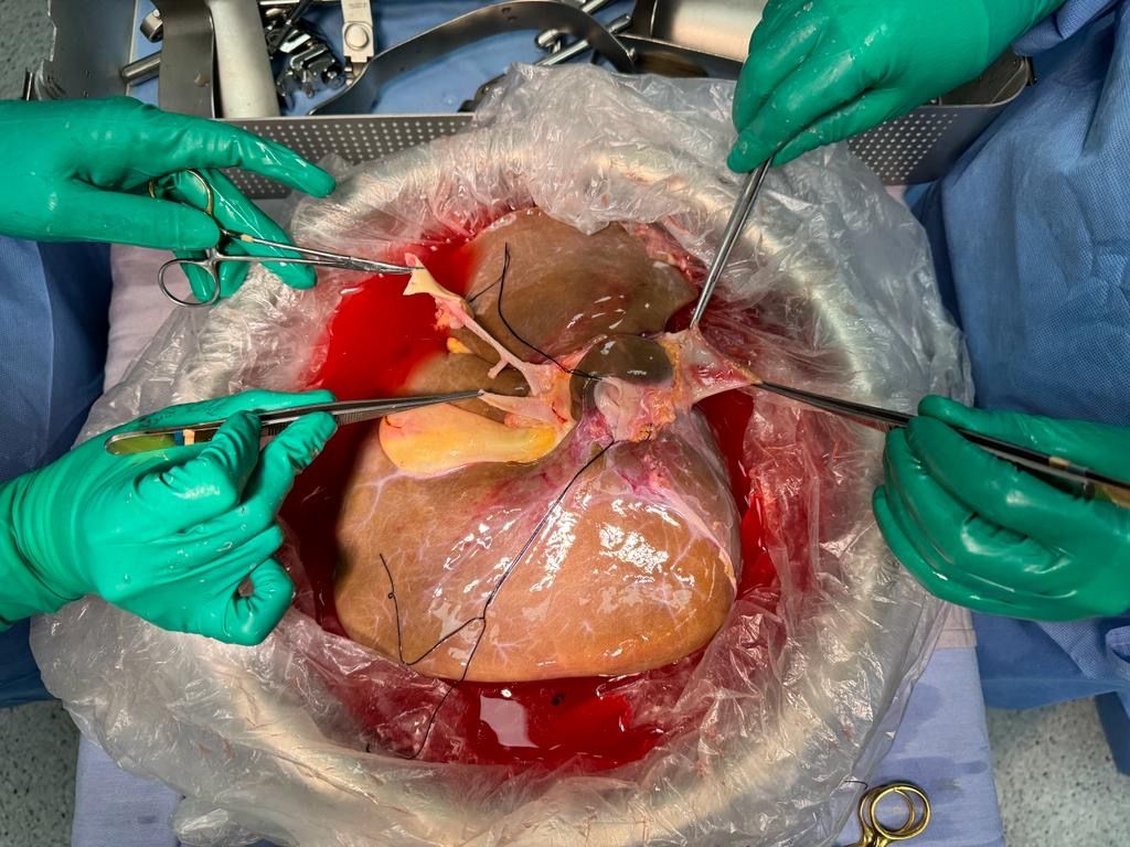 Carlos Rodríguez Montalvo-12