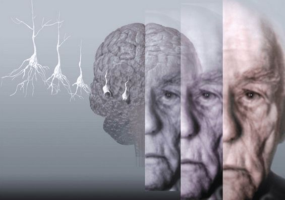 Sara Yeverino Castro-2