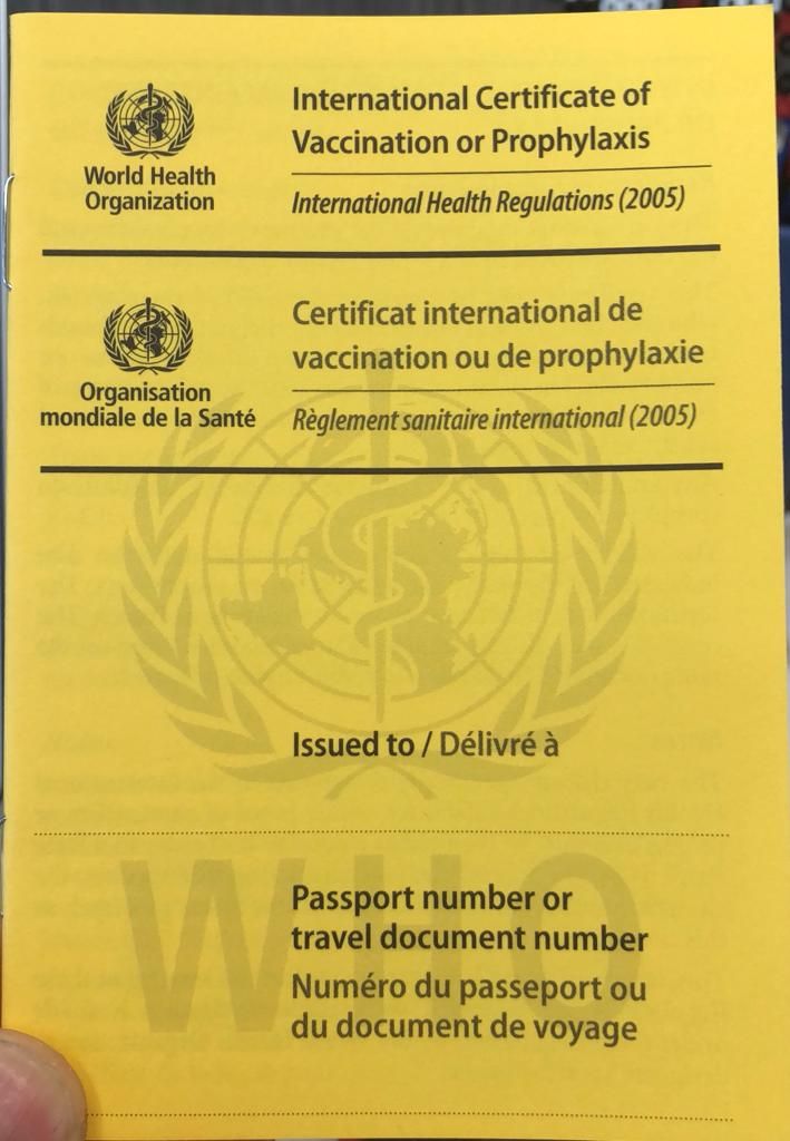 Sadot Zúñiga Guerson-11