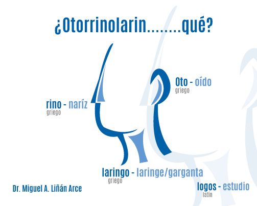 Miguel Angel Liñan Arce-4