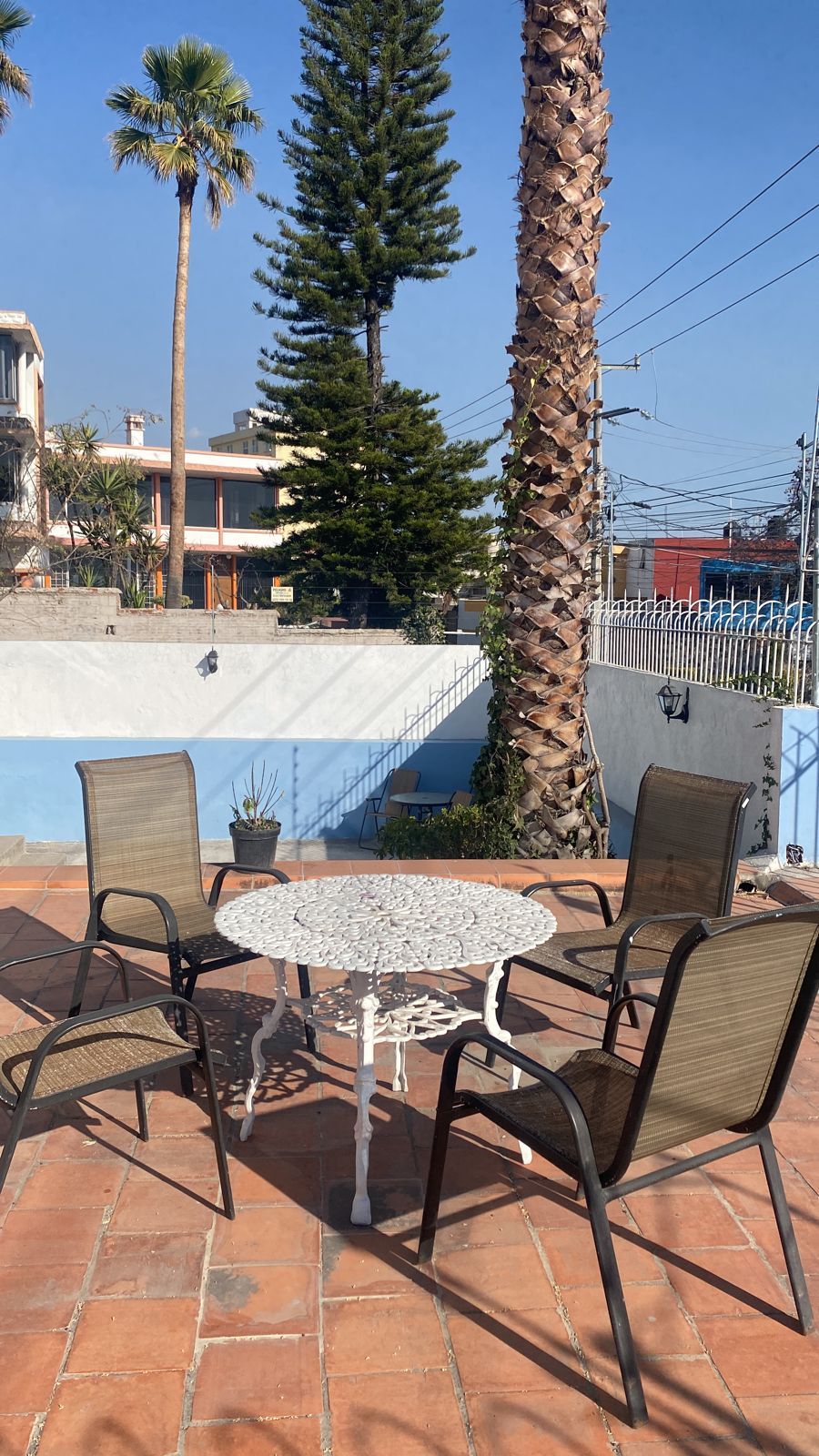 Estrella Gonzalez Zenteno-0