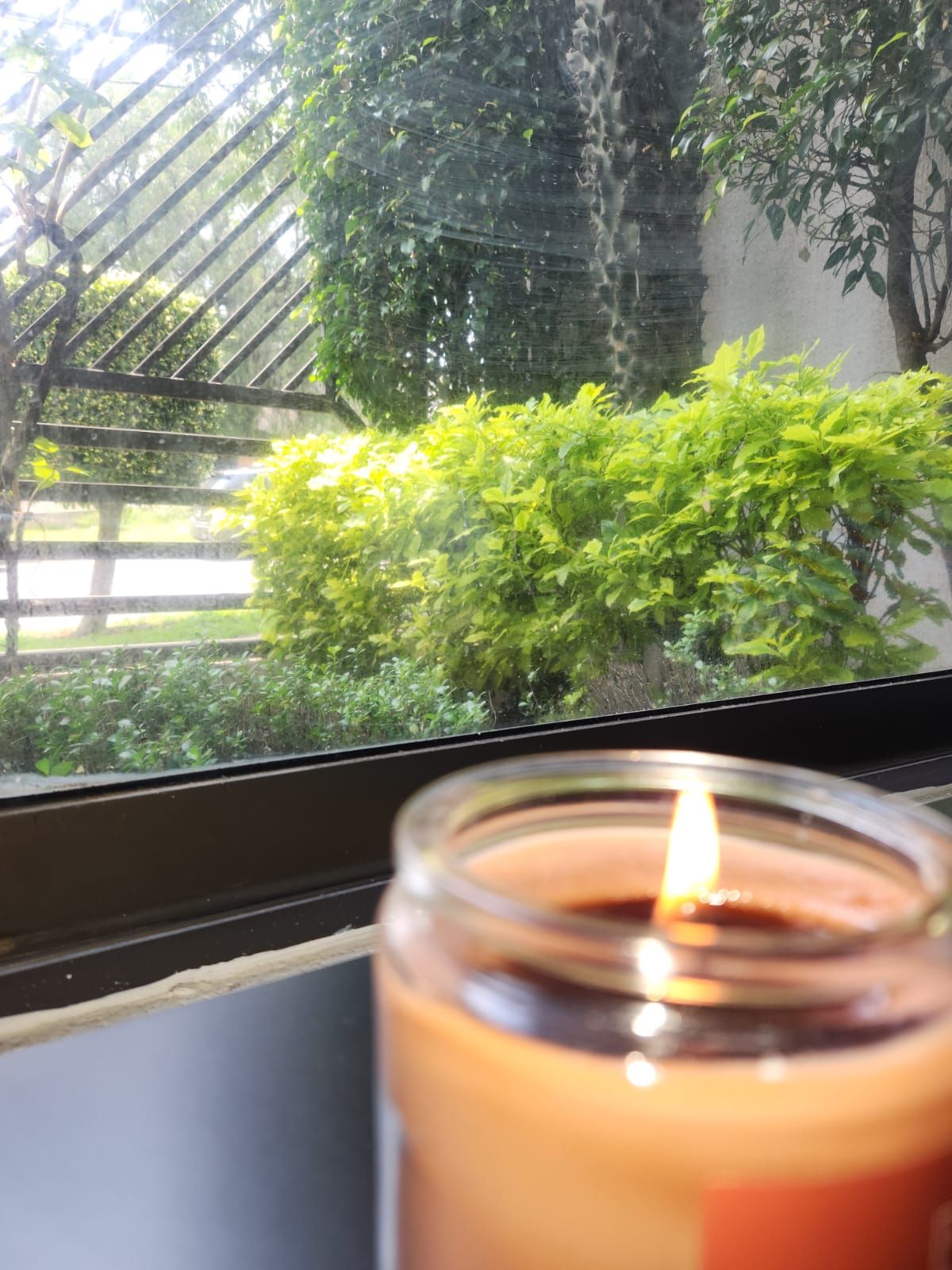 Dafne Uruchurtu Escalante-4