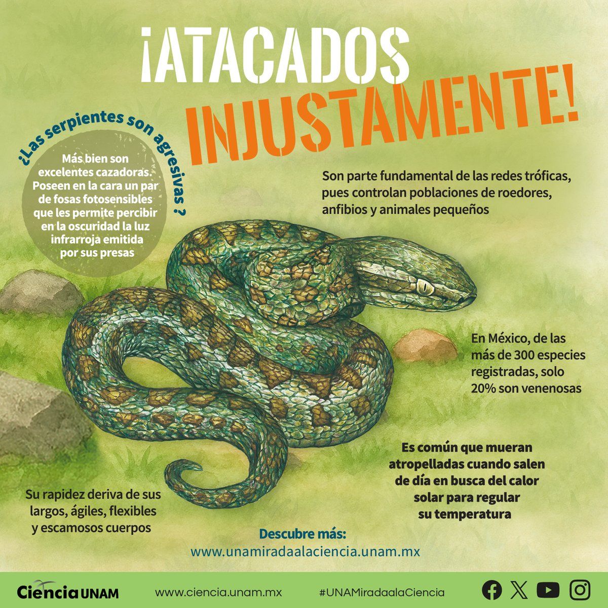 Raymundo Alejandro Cuevas Escalante-271